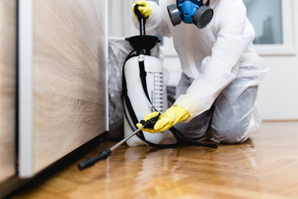 Best Commercial Pest Control Services  in Erwin, TN