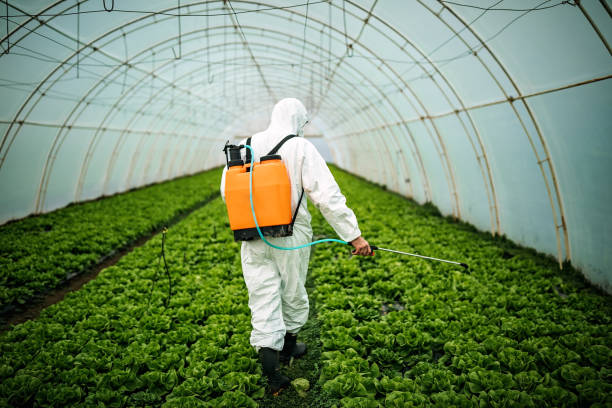 Best Best Pest Control Companies  in Erwin, TN
