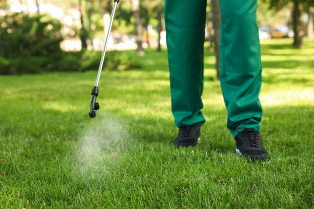 Best Best Pest Control Companies  in Erwin, TN
