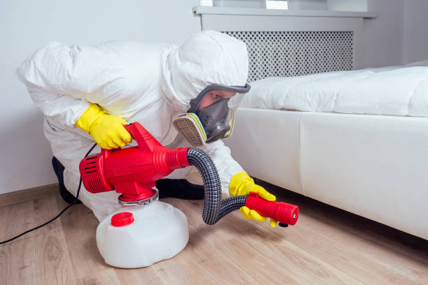 Best Bed Bug Extermination  in Erwin, TN