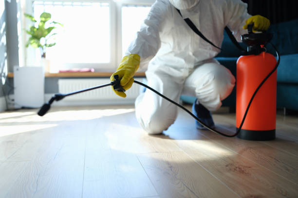 Professional Pest Control in Erwin, TN
