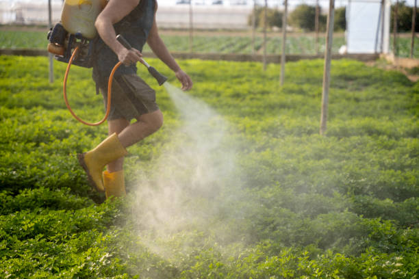 Best Affordable Pest Control Services  in Erwin, TN