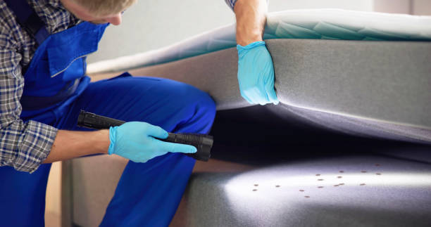 Best Flea Control Services  in Erwin, TN