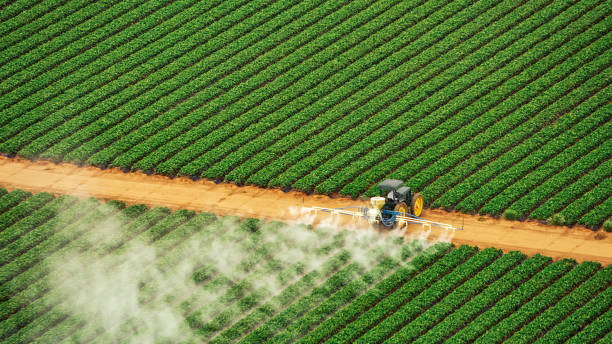 Best Mosquito Control Services  in Erwin, TN