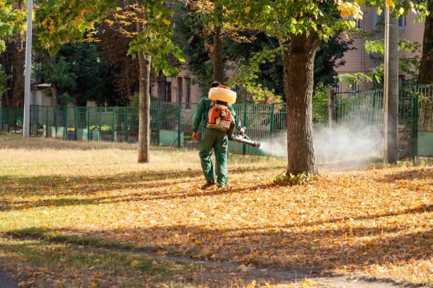 Pest Prevention Services in Erwin, TN